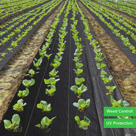 EXTRAEASY weed blocker fabric supports healthier plants by reducing competition.