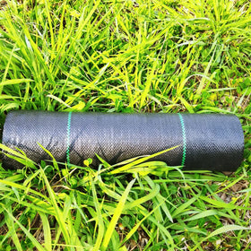 EXTRAEASY warranty and free replacements for damaged rolls.