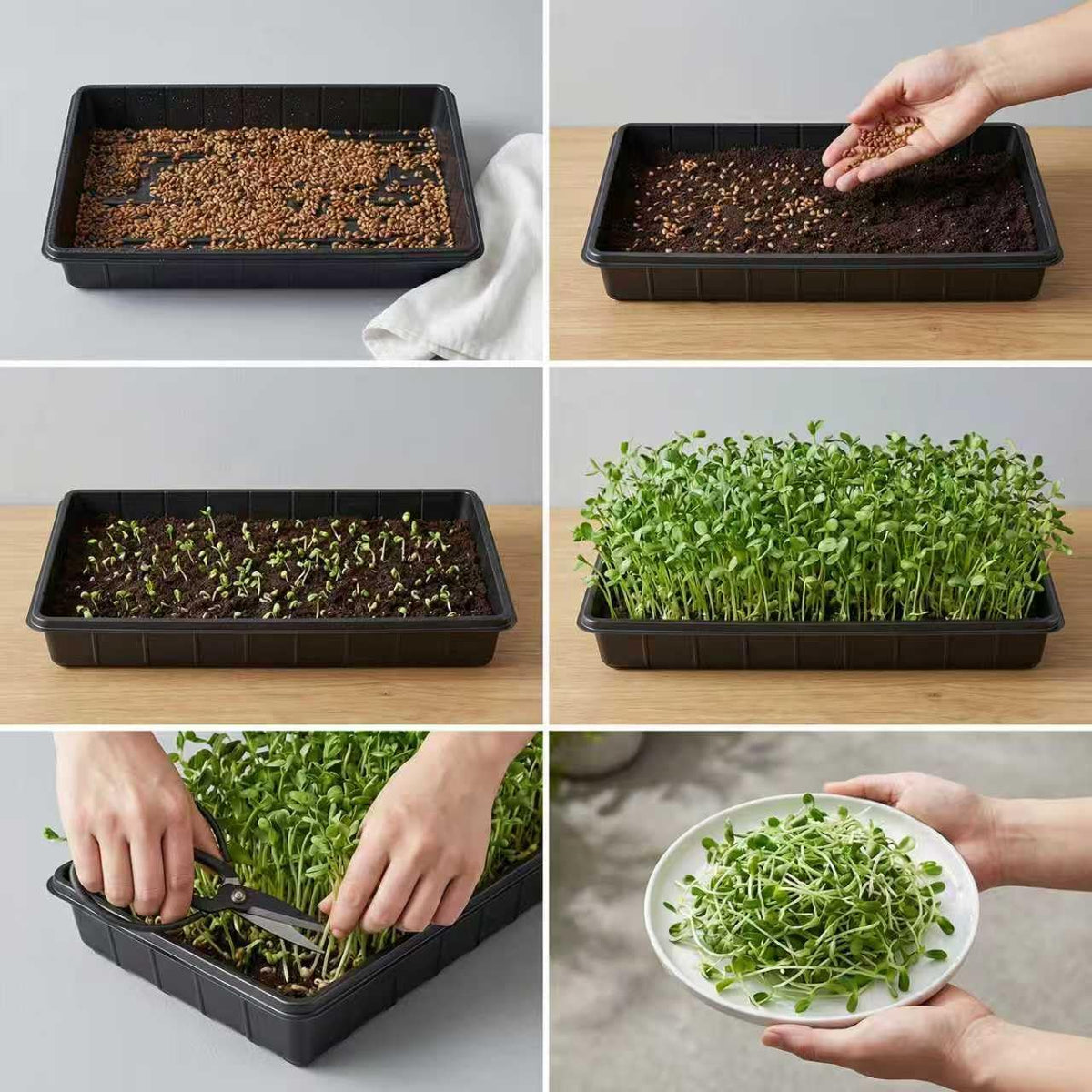 EXTYQWC indoor gardening solution helps potting and seed-starting tasks.