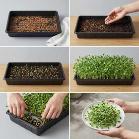 EXTYQWC indoor gardening solution helps potting and seed-starting tasks.