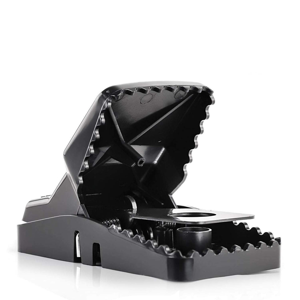 eXuby Large Rat Trap with open mouth for fast capture and easy cleanup.