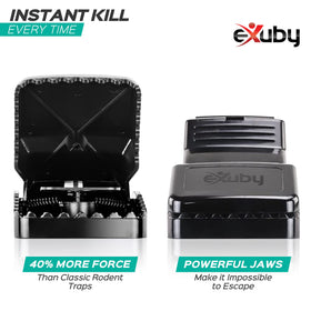 eXuby rat trap large steel spring in action for powerful instant kill.