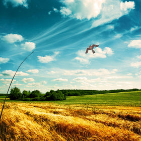 eyijklzo Bird deterrence kite helps protect crops from crows pigeons and seagulls