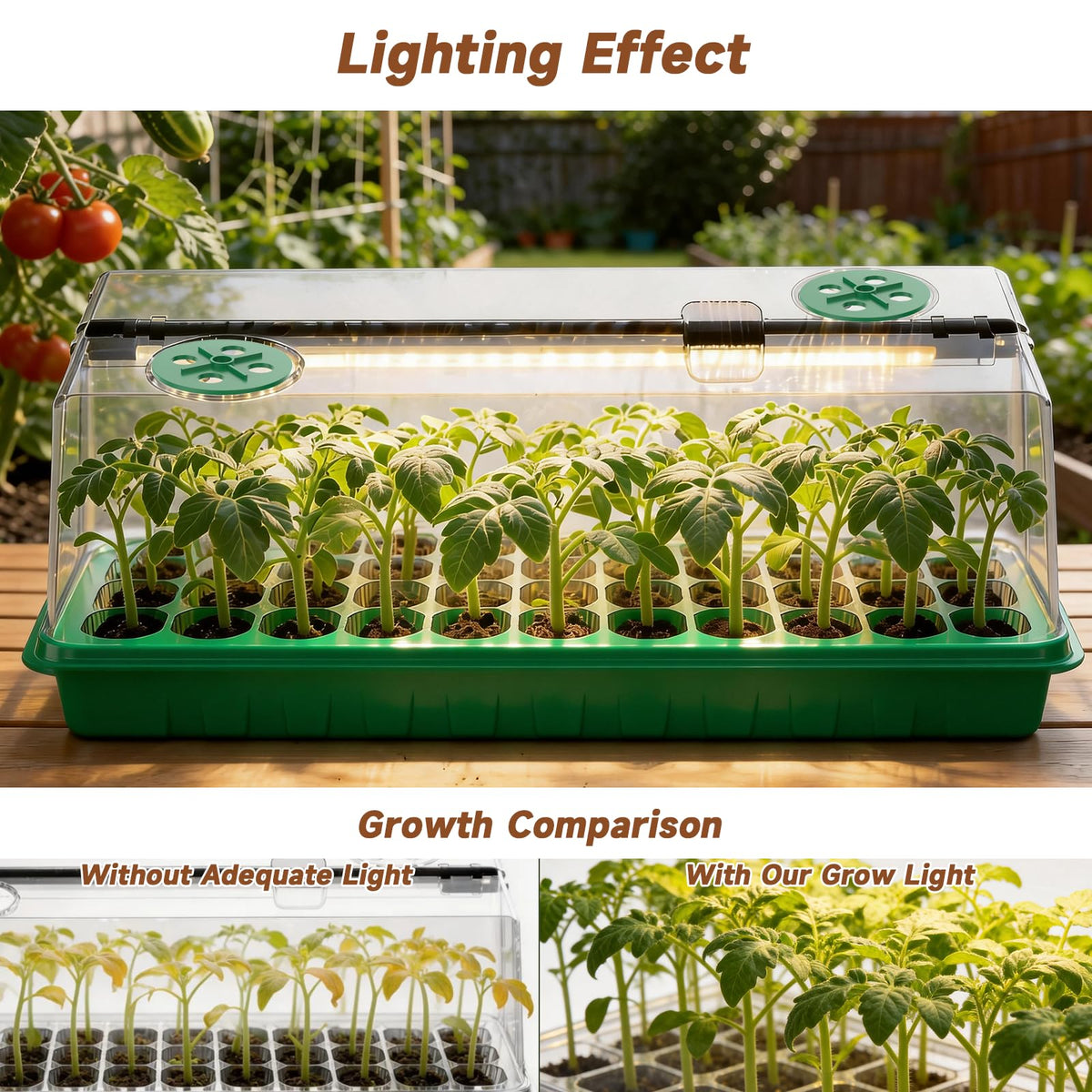 Eyriolya 3-9-12h timer settings maintain consistent day-night cycles for plants.