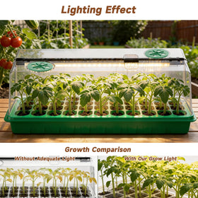 Eyriolya 3-9-12h timer settings maintain consistent day-night cycles for plants.