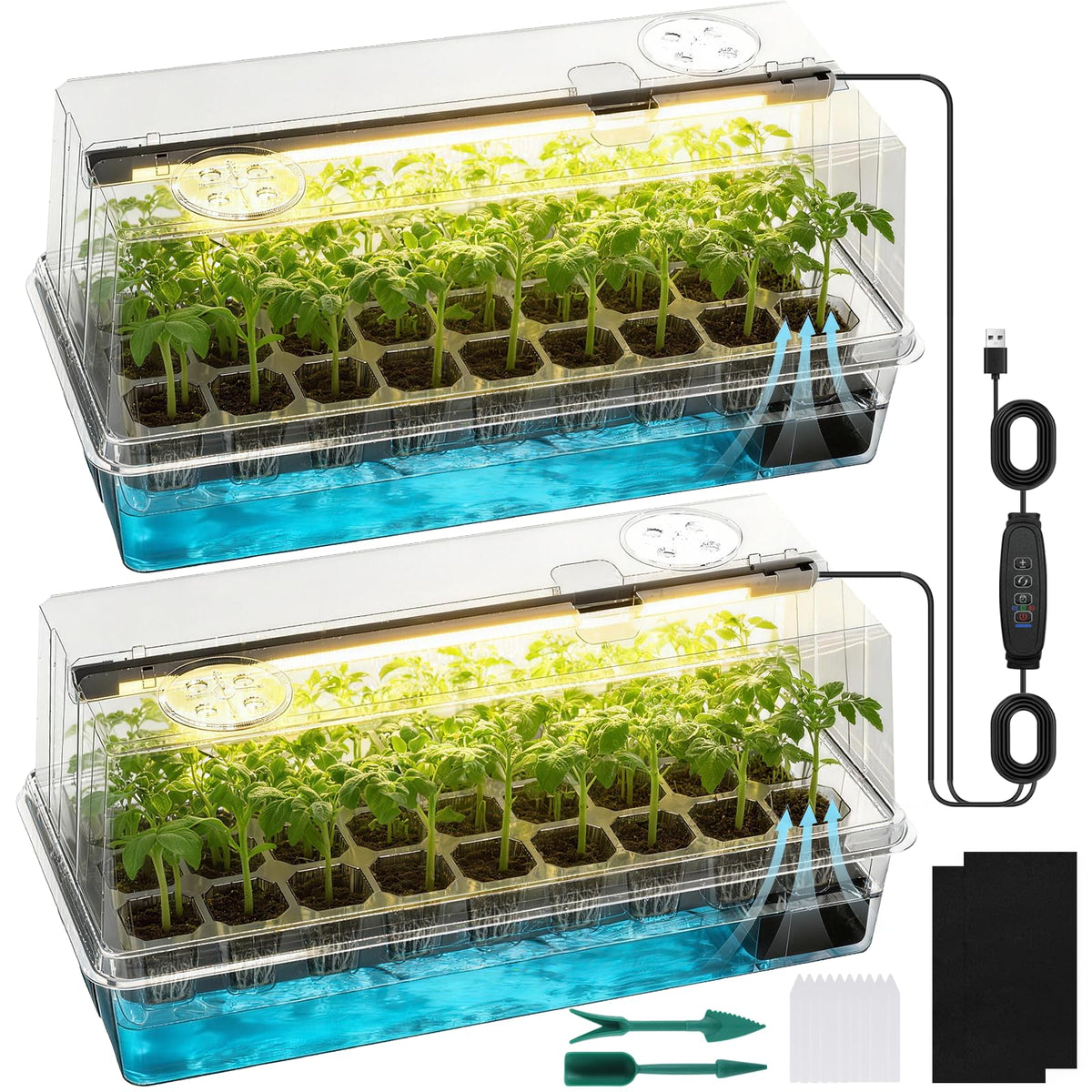 Eyriolya clear seed starter tray showing root visibility for precise transplant timing.