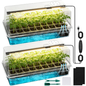 Eyriolya clear seed starter tray showing root visibility for precise transplant timing.