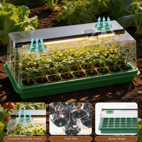 Eyriolya drainage holes in each cell prevent waterlogging and root rot.