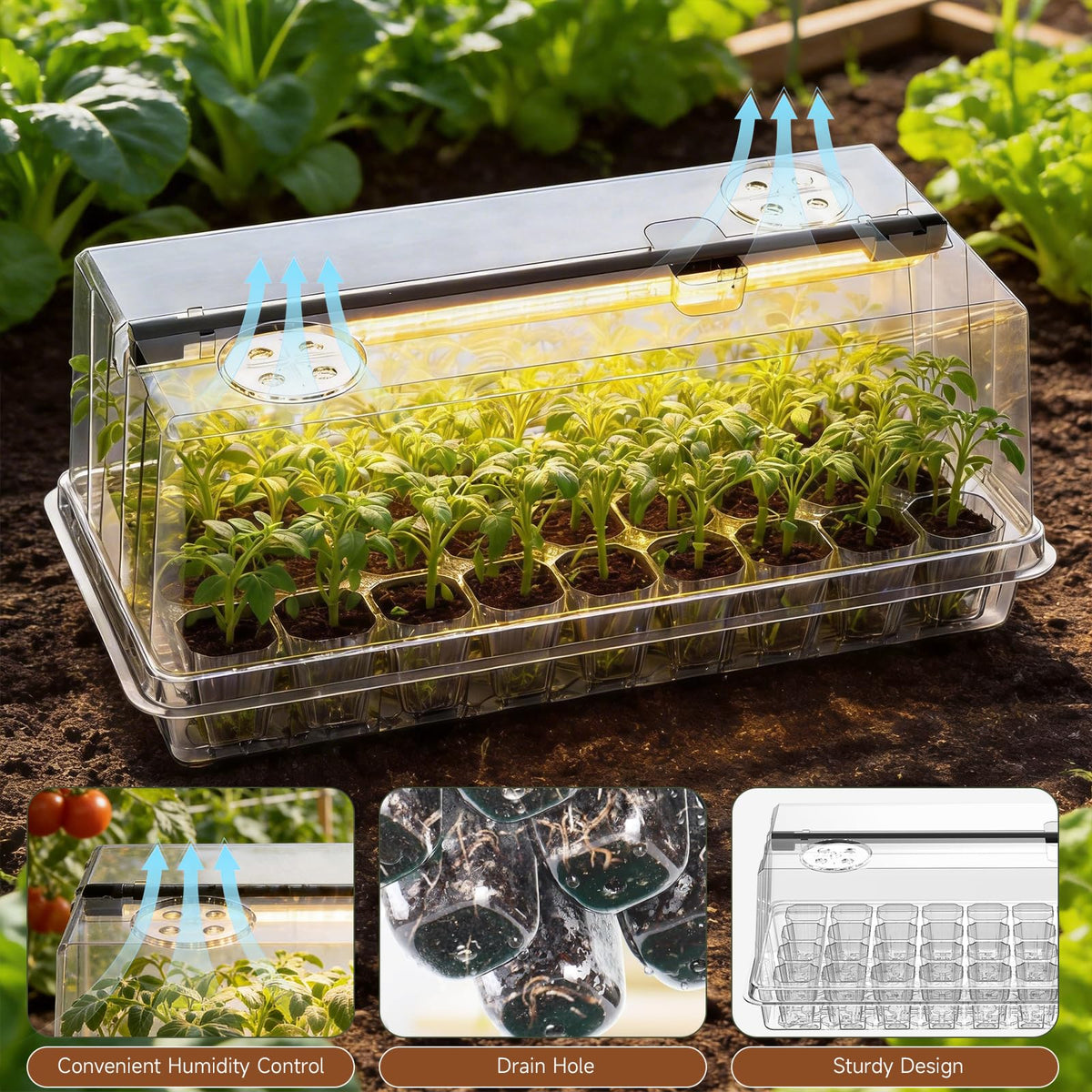 Eyriolya seed tray features drainage holes to prevent waterlogging and promote healthy roots.