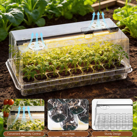 Eyriolya seed tray features drainage holes to prevent waterlogging and promote healthy roots.