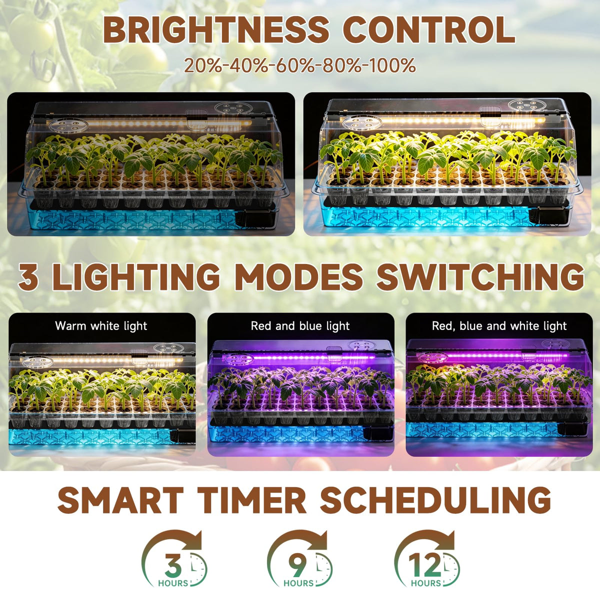 Eyriolya full-spectrum grow light provides balanced brightness for sturdy seedlings.