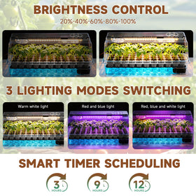 Eyriolya full-spectrum grow light provides balanced brightness for sturdy seedlings.