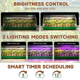 Eyriolya full-spectrum-led-grow-light provides balanced light for healthy growth of seedlings.