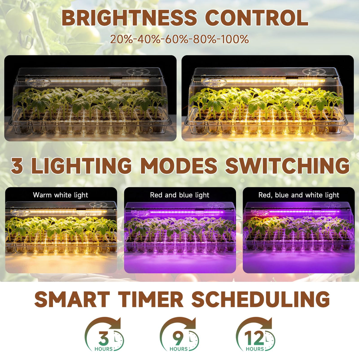 Eyriolya full-spectrum grow light supports healthy leafy growth and root development.