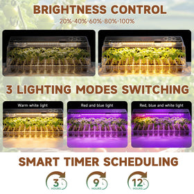 Eyriolya full-spectrum grow light supports healthy leafy growth and root development.