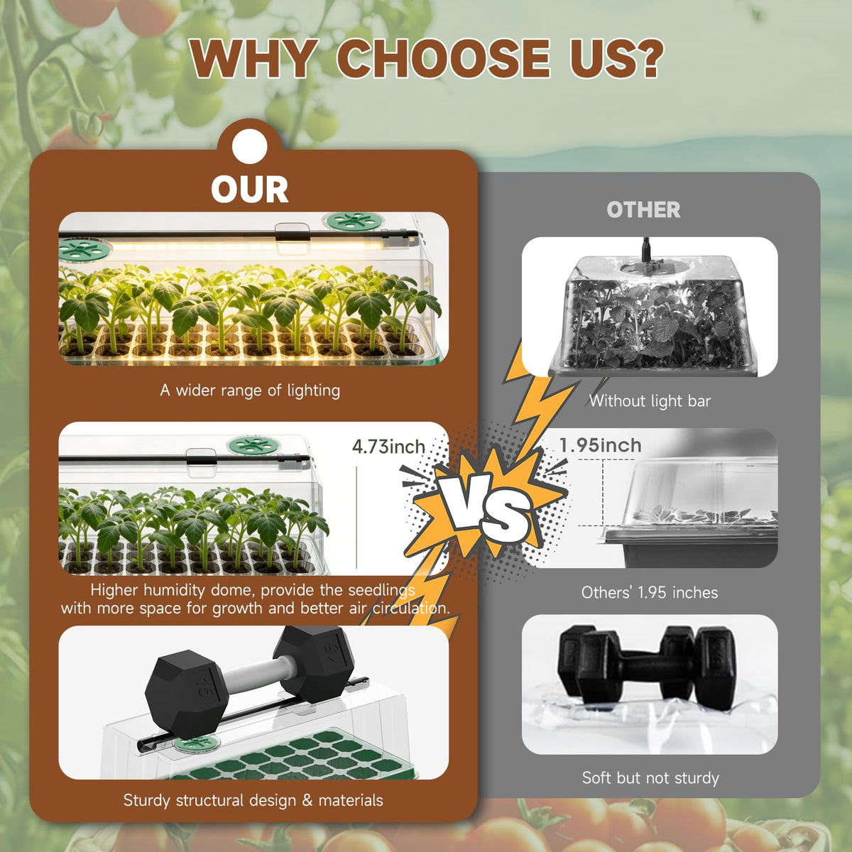Eyriolya humidity-dome with vents locks moisture for faster germination.