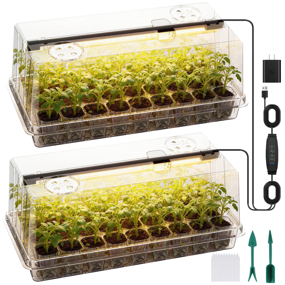 Eyriolya seed starter tray with grow light enabling indoor seed germination and robust seedlings.