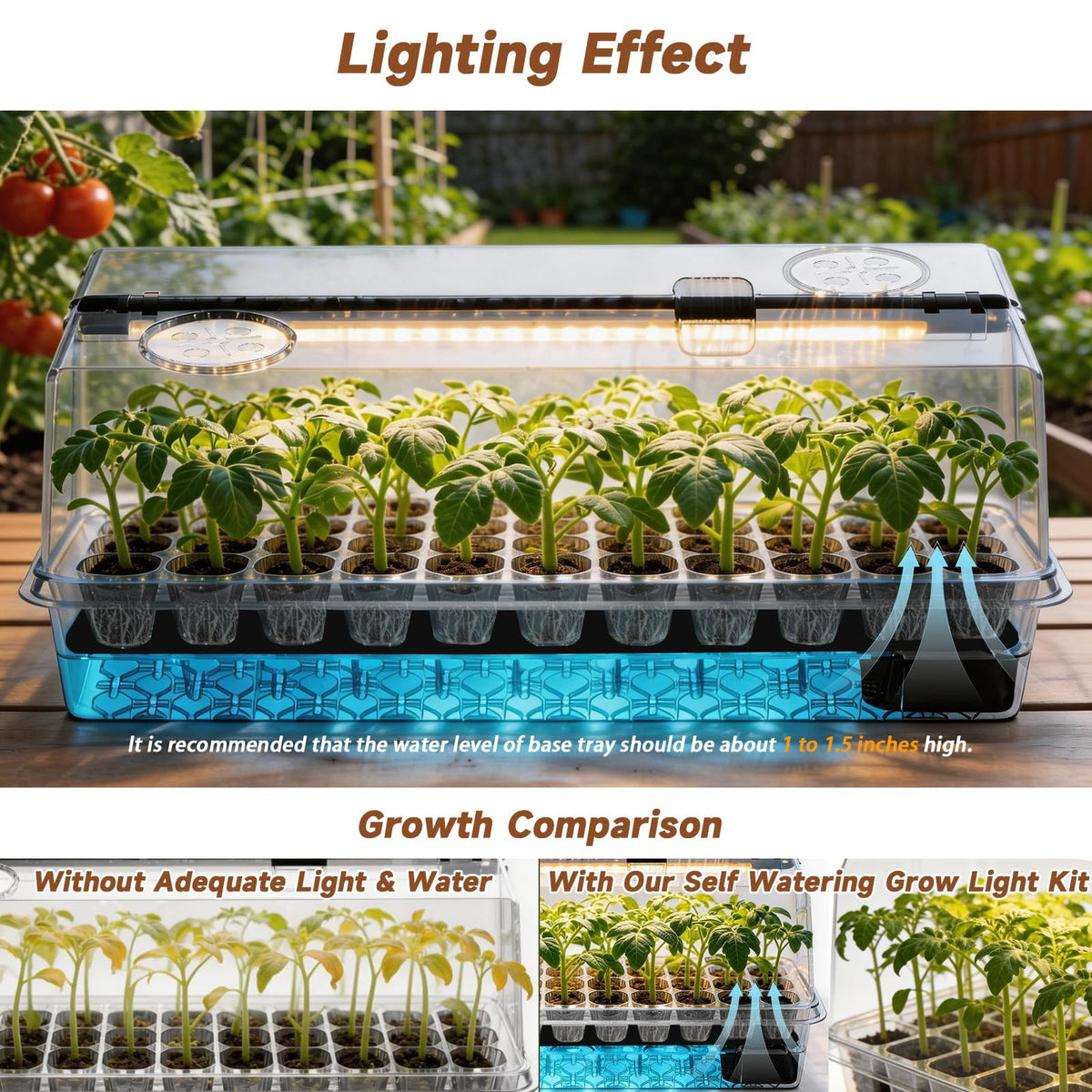 Eyriolya self-watering mats seed tray keeps soil evenly moist for reliable germination.
