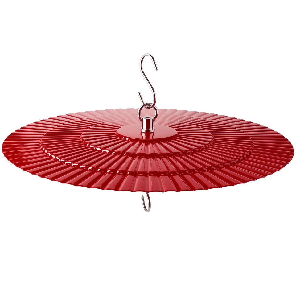 Eyrosa rain guard on a bird feeder, top view showing weather protection