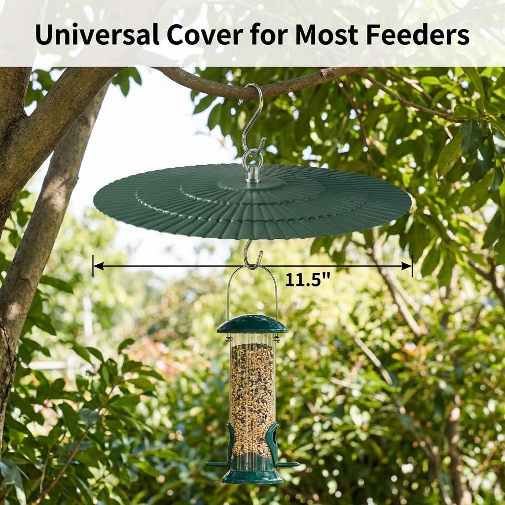 Eyrosa eleven-point-five-inch dome shields a feeder while birds access seeds