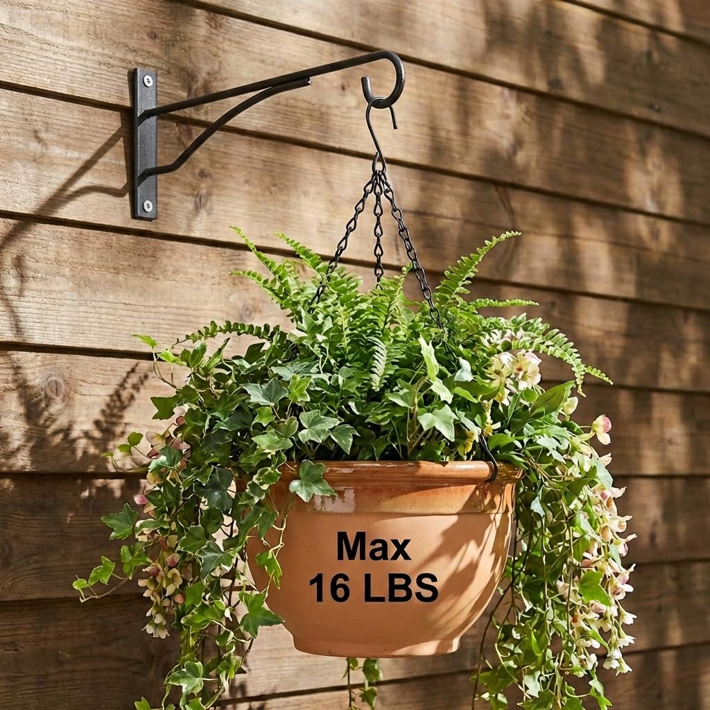 Eyrosa hanging plant bracket on wall supports safe, stylish plant displays.