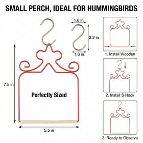 Eyrosa hummingbird decor enhances garden charm while inviting closer bird viewing