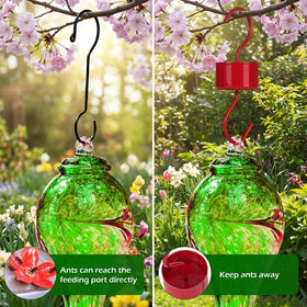 Eyrosa metal ant moat with leak-proof one-piece construction prevents spills at feeders.