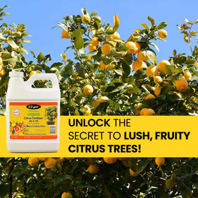 EZ-gro Citrus Fertilizer branding and bottle highlight trusted garden nutrients