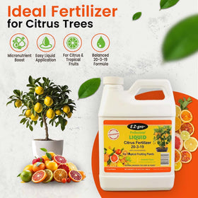 EZ-gro Citrus Fertilizer dilution shows easy mixing with water