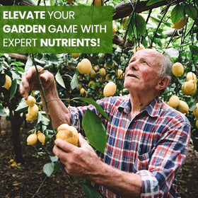 EZ-gro Citrus Fertilizer used on outdoor and indoor citrus trees