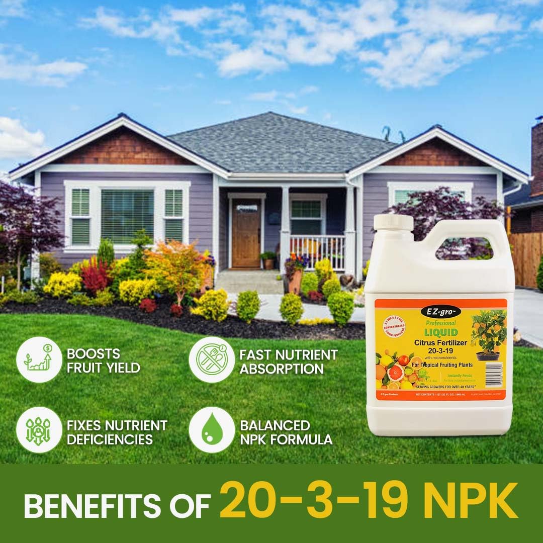EZ-gro Citrus Fertilizer leaves display healthier color and vigor