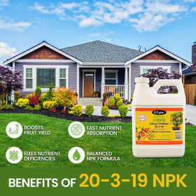 EZ-gro Citrus Fertilizer leaves display healthier color and vigor