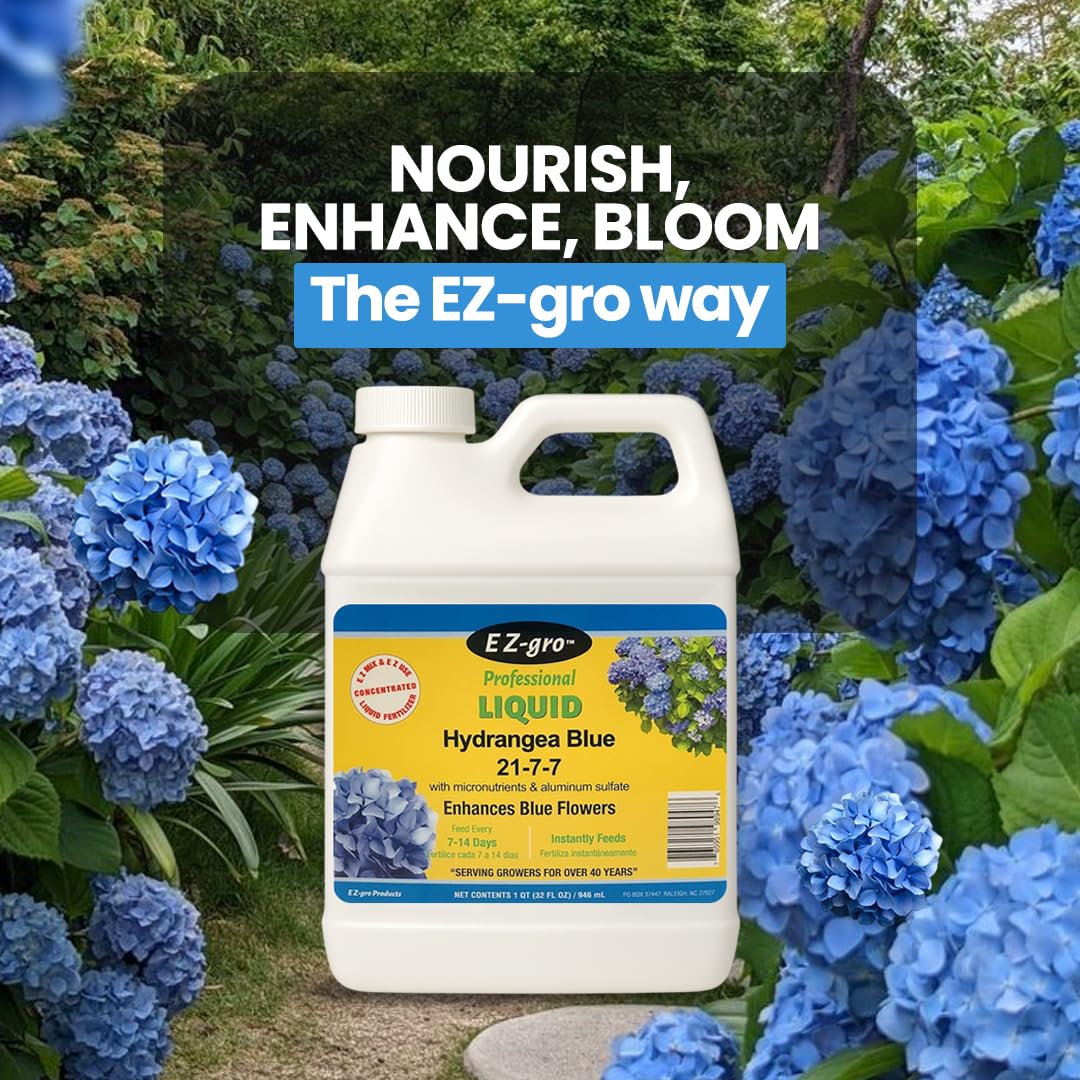 EZ-GRO Hydrangea Fertilizer being poured into water to nourish hydrangeas.