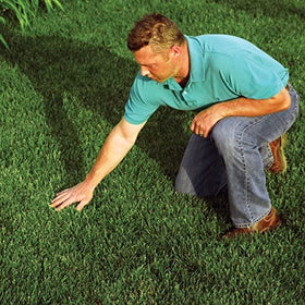 EZ-Straw natural, biodegradable material supports soil health during germination.