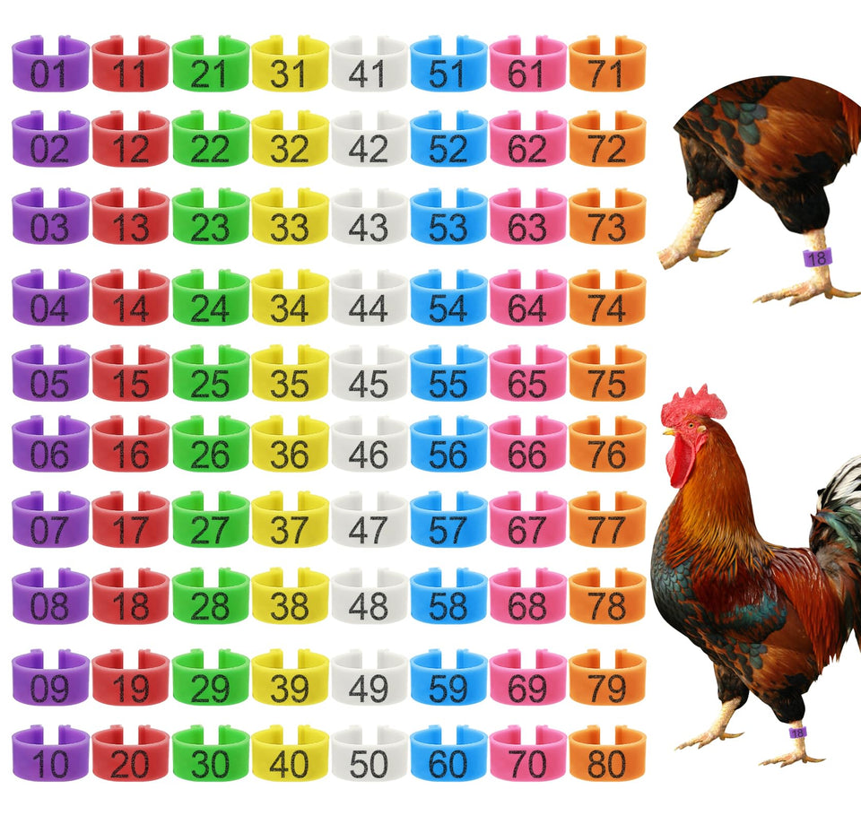 EZEELAI 80-pc color bands show 01–80 numbers for quick bird identification.