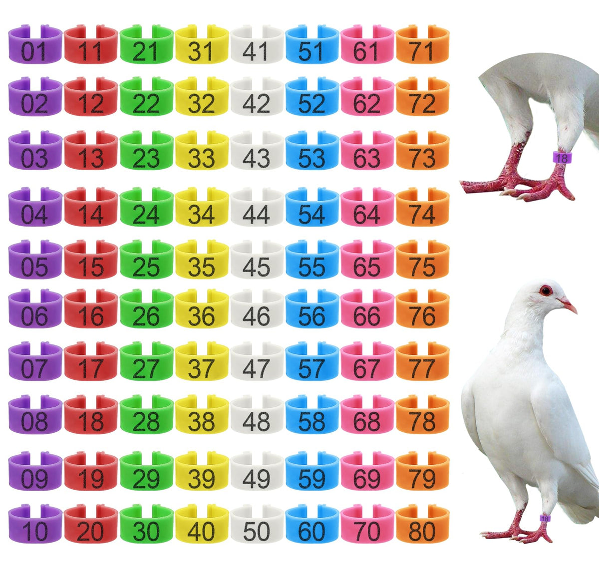 EZEELAI 80-piece leg bands in eight colors for quick bird identification.
