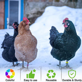 EZEELAI versatile rings across chickens, ducks, geese, turkeys, gamefowl