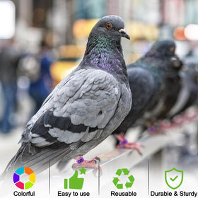Versatile use across bantams, quail, doves, lovebirds, and more.