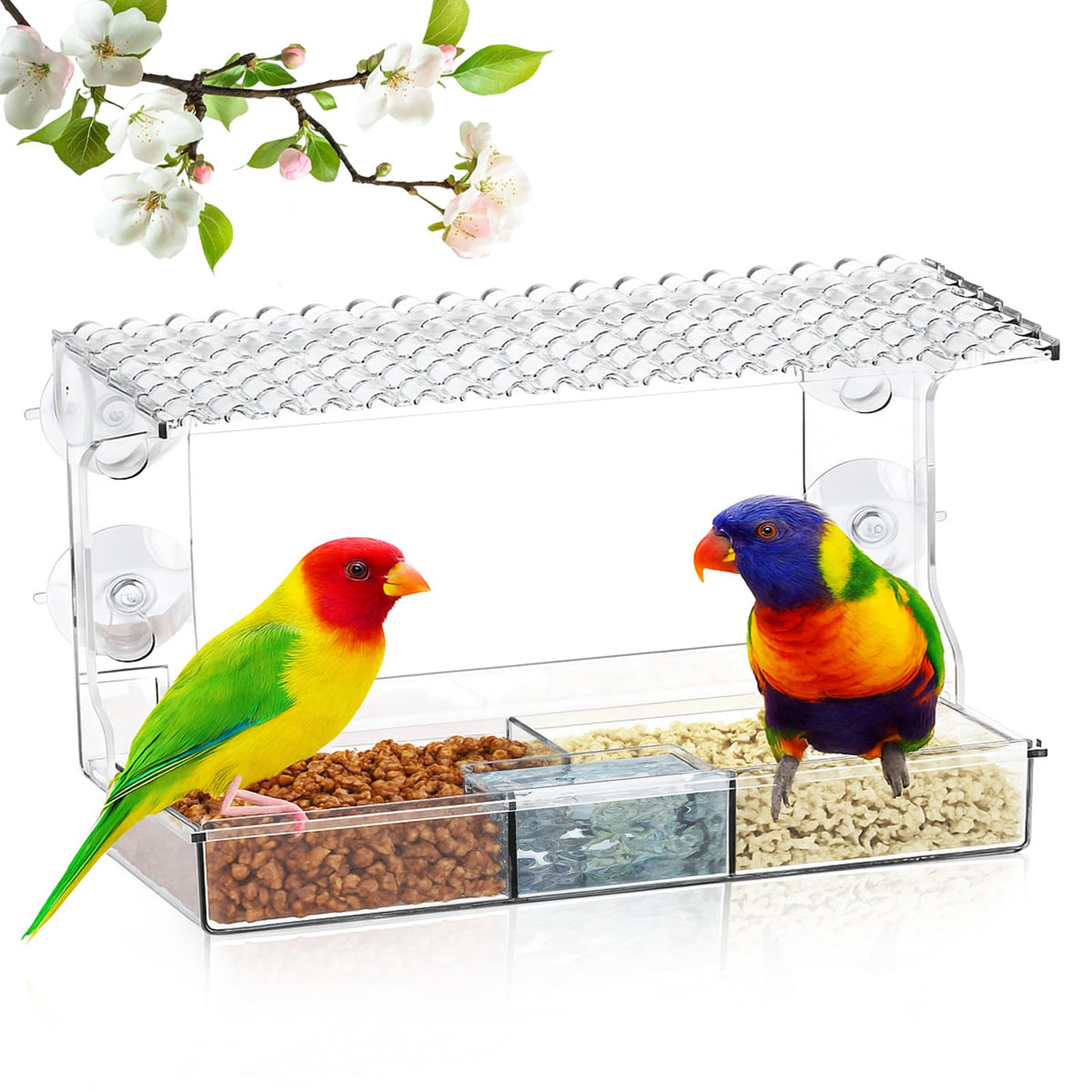 EZIYIN clear window bird feeder with strong suction cups for stable outdoor viewing.