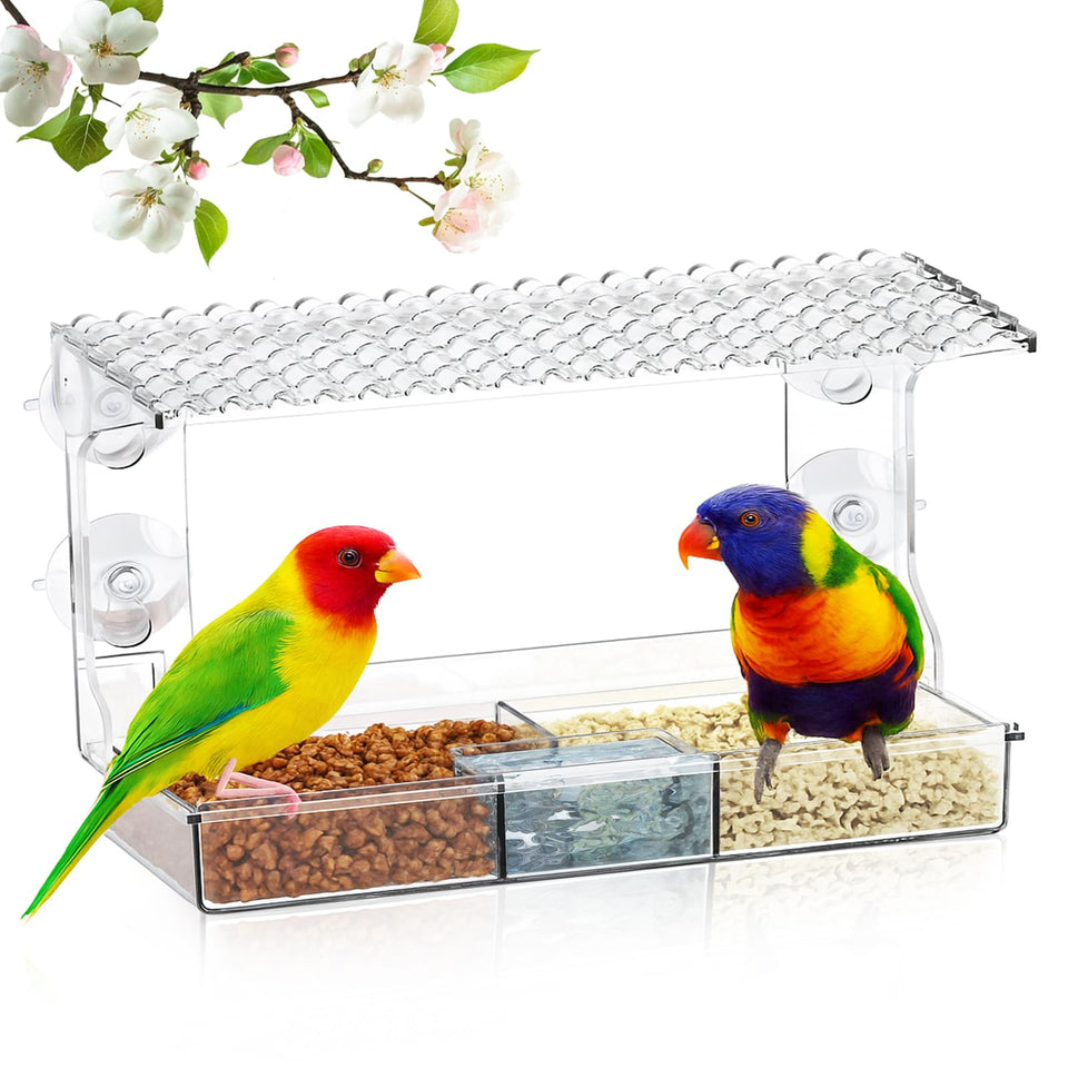 EZIYIN clear window bird feeder with strong suction cups for stable outdoor viewing.