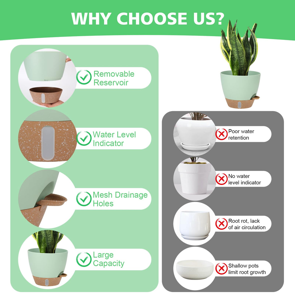 Mesh drainage holes in the 12-inch Ezmixcoop pot promote airflow to roots.