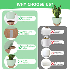 Mesh drainage holes in the 12-inch Ezmixcoop pot promote airflow to roots.
