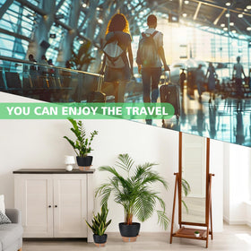 Ezmixcoop modern-minimalist-design fits indoor and outdoor spaces