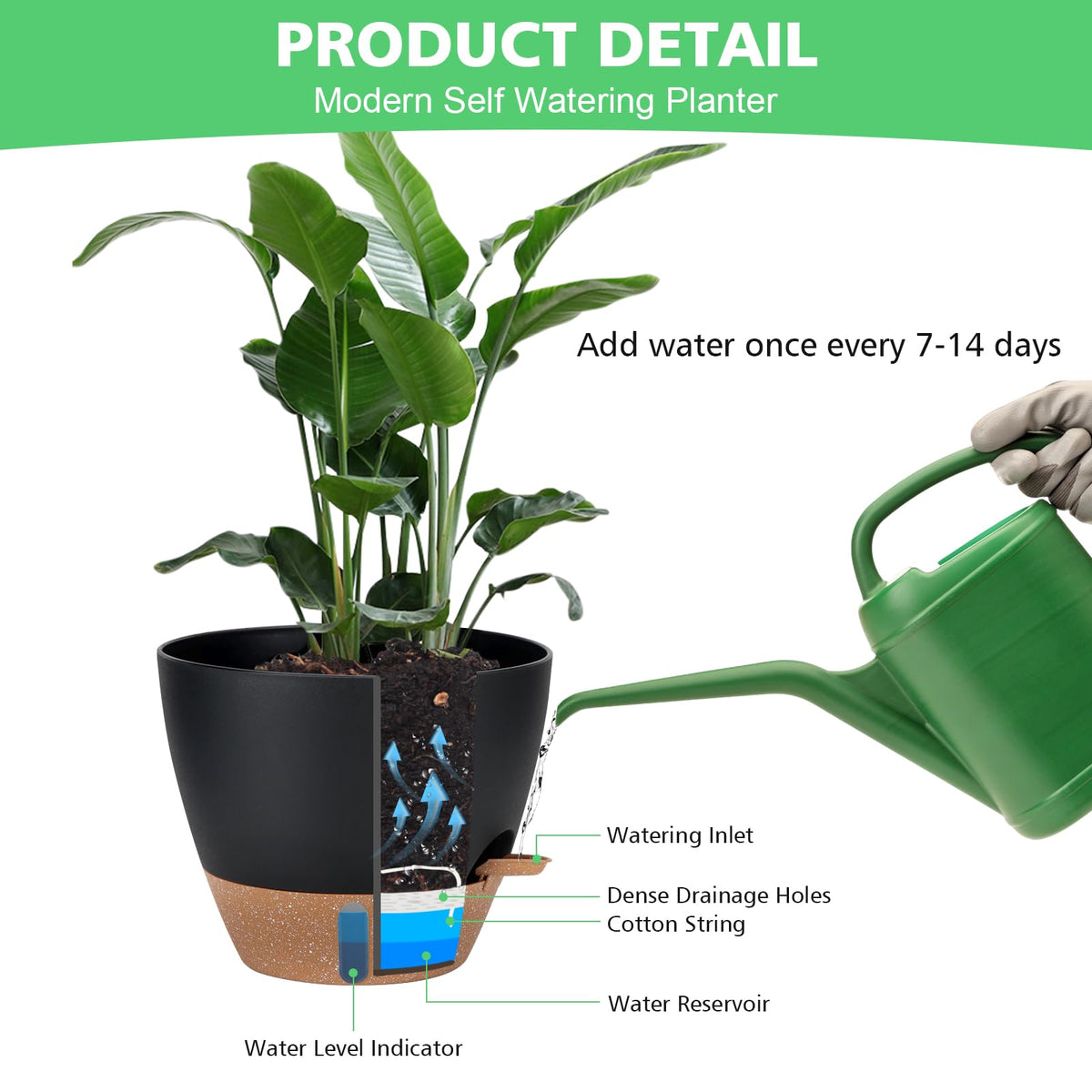 Ezmixcoop removable-saucer-reservoir demonstrates mess-free watering