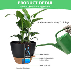 Ezmixcoop removable-saucer-reservoir demonstrates mess-free watering