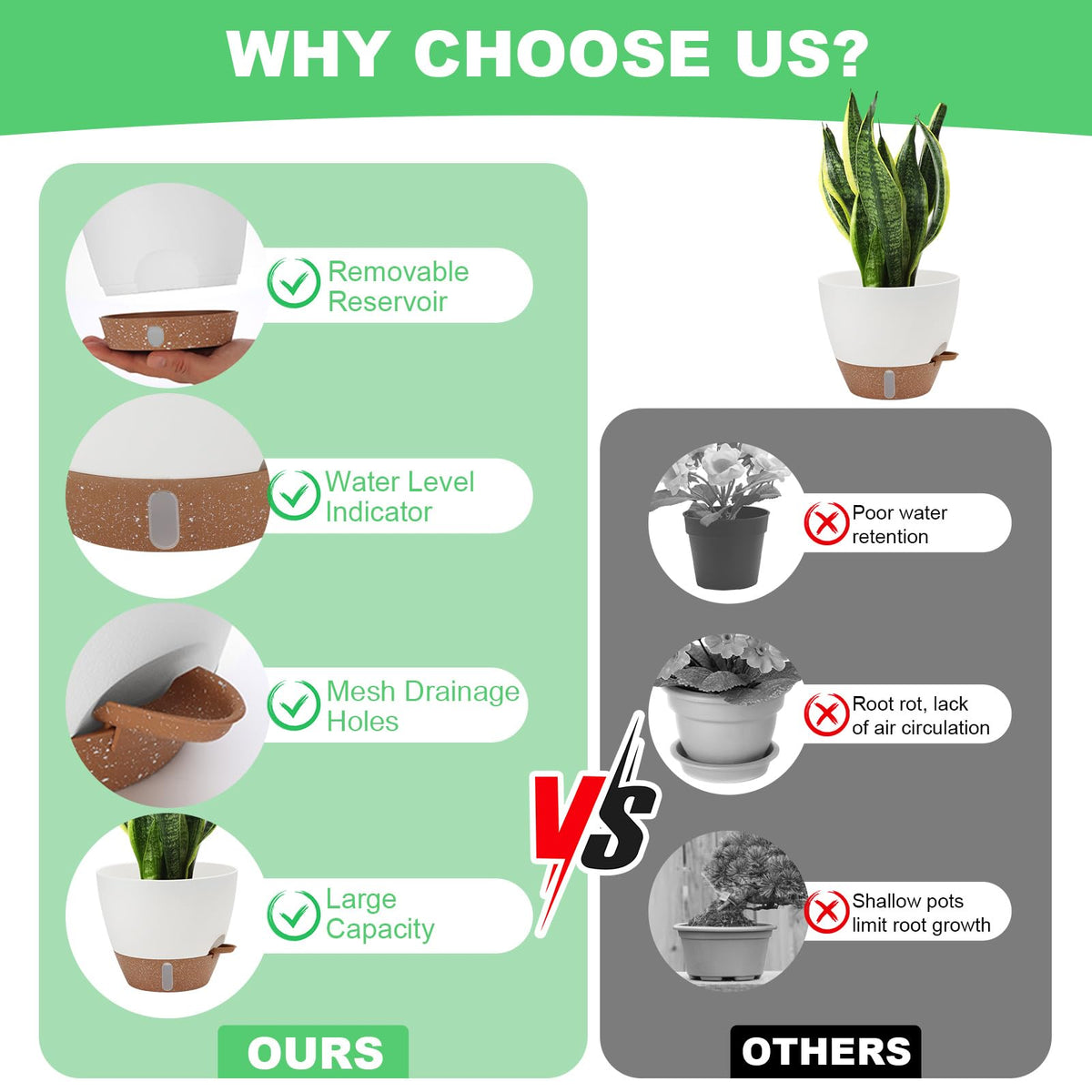 Ezmixcoop self-watering planter 6-5-inch shows water level for convenient refills.