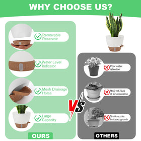 Ezmixcoop self-watering planter 6-5-inch shows water level for convenient refills.