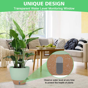 Ezmixcoop self-watering planter 6-inch with water level window supports steady moisture.
