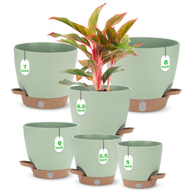 Ezmixcoop self-watering planter 8-inch with a water level window for easy moisture checks.