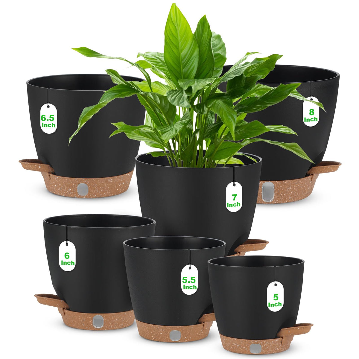Ezmixcoop self-watering planter set with visual water level for easy moisture monitoring.